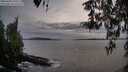 ./images/koeye/fitz-hugh/20260404/fitz-hugh20260404_190501M.jpg