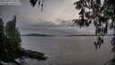 ./images/koeye/fitz-hugh/20260404/fitz-hugh20260404_191001M.jpg