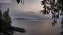 ./images/koeye/fitz-hugh/20260404/fitz-hugh20260404_192001M.jpg