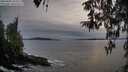 ./images/koeye/fitz-hugh/20260404/fitz-hugh20260404_192502M.jpg