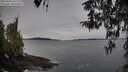 ./images/koeye/fitz-hugh/20260405/fitz-hugh20260405_080002M.jpg