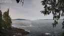 ./images/koeye/fitz-hugh/20260405/fitz-hugh20260405_102501M.jpg