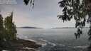 ./images/koeye/fitz-hugh/20260405/fitz-hugh20260405_104001M.jpg