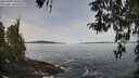 ./images/koeye/fitz-hugh/20260405/fitz-hugh20260405_104501M.jpg