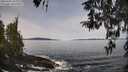./images/koeye/fitz-hugh/20260405/fitz-hugh20260405_105001M.jpg