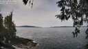 ./images/koeye/fitz-hugh/20260405/fitz-hugh20260405_115002M.jpg