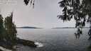 ./images/koeye/fitz-hugh/20260405/fitz-hugh20260405_124501M.jpg