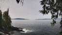 ./images/koeye/fitz-hugh/20260405/fitz-hugh20260405_125002M.jpg