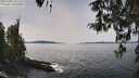 ./images/koeye/fitz-hugh/20260405/fitz-hugh20260405_131502M.jpg