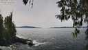 ./images/koeye/fitz-hugh/20260405/fitz-hugh20260405_133502M.jpg