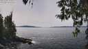 ./images/koeye/fitz-hugh/20260405/fitz-hugh20260405_134502M.jpg