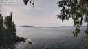 ./images/koeye/fitz-hugh/20260405/fitz-hugh20260405_145001M.jpg