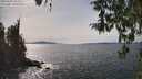 ./images/koeye/fitz-hugh/20260405/fitz-hugh20260405_151502M.jpg