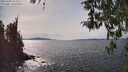 ./images/koeye/fitz-hugh/20260405/fitz-hugh20260405_152001M.jpg