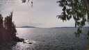 ./images/koeye/fitz-hugh/20260405/fitz-hugh20260405_152501M.jpg