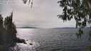./images/koeye/fitz-hugh/20260405/fitz-hugh20260405_154001M.jpg