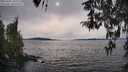 ./images/koeye/fitz-hugh/20260405/fitz-hugh20260405_165501M.jpg