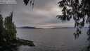 ./images/koeye/fitz-hugh/20260405/fitz-hugh20260405_190501M.jpg