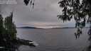 ./images/koeye/fitz-hugh/20260405/fitz-hugh20260405_193002M.jpg