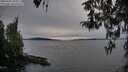 ./images/koeye/fitz-hugh/20260405/fitz-hugh20260405_193501M.jpg