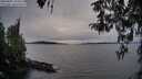 ./images/koeye/fitz-hugh/20260405/fitz-hugh20260405_194501M.jpg