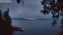 ./images/koeye/fitz-hugh/20260406/fitz-hugh20260406_063501M.jpg