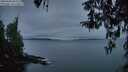 ./images/koeye/fitz-hugh/20260406/fitz-hugh20260406_064501M.jpg