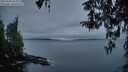 ./images/koeye/fitz-hugh/20260406/fitz-hugh20260406_065001M.jpg