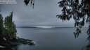 ./images/koeye/fitz-hugh/20260406/fitz-hugh20260406_065501M.jpg