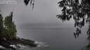 ./images/koeye/fitz-hugh/20260406/fitz-hugh20260406_075501M.jpg