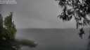 ./images/koeye/fitz-hugh/20260406/fitz-hugh20260406_081001M.jpg