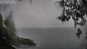 ./images/koeye/fitz-hugh/20260406/fitz-hugh20260406_083001M.jpg