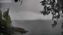 ./images/koeye/fitz-hugh/20260406/fitz-hugh20260406_084001M.jpg
