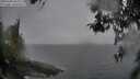./images/koeye/fitz-hugh/20260406/fitz-hugh20260406_085002M.jpg