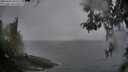 ./images/koeye/fitz-hugh/20260406/fitz-hugh20260406_085501M.jpg