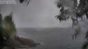 ./images/koeye/fitz-hugh/20260406/fitz-hugh20260406_090001M.jpg