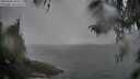 ./images/koeye/fitz-hugh/20260406/fitz-hugh20260406_090501M.jpg