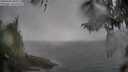 ./images/koeye/fitz-hugh/20260406/fitz-hugh20260406_091001M.jpg