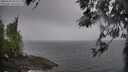 ./images/koeye/fitz-hugh/20260406/fitz-hugh20260406_092502M.jpg