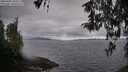 ./images/koeye/fitz-hugh/20260406/fitz-hugh20260406_100501M.jpg