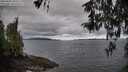 ./images/koeye/fitz-hugh/20260406/fitz-hugh20260406_101502M.jpg