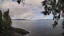 ./images/koeye/fitz-hugh/20260406/fitz-hugh20260406_104001M.jpg