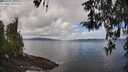 ./images/koeye/fitz-hugh/20260406/fitz-hugh20260406_112001M.jpg