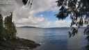./images/koeye/fitz-hugh/20260406/fitz-hugh20260406_112502M.jpg