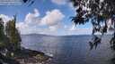 ./images/koeye/fitz-hugh/20260406/fitz-hugh20260406_114501M.jpg