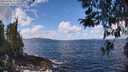 ./images/koeye/fitz-hugh/20260406/fitz-hugh20260406_115501M.jpg
