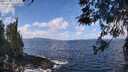 ./images/koeye/fitz-hugh/20260406/fitz-hugh20260406_120001M.jpg