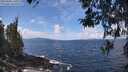 ./images/koeye/fitz-hugh/20260406/fitz-hugh20260406_121001M.jpg