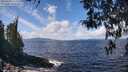 ./images/koeye/fitz-hugh/20260406/fitz-hugh20260406_122502M.jpg