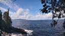 ./images/koeye/fitz-hugh/20260406/fitz-hugh20260406_123002M.jpg